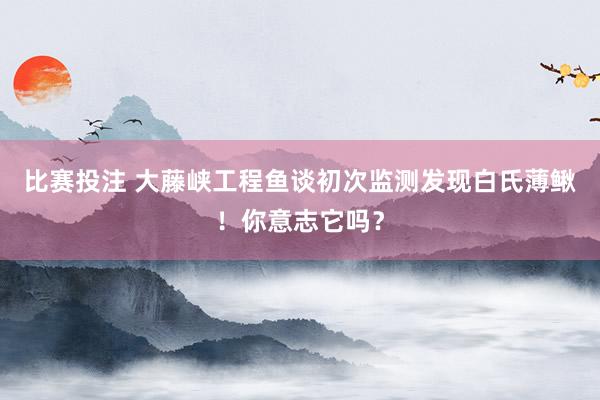 比赛投注 大藤峡工程鱼谈初次监测发现白氏薄鳅！你意志它吗？