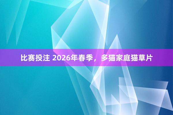 比赛投注 2026年春季，多猫家庭猫草片
