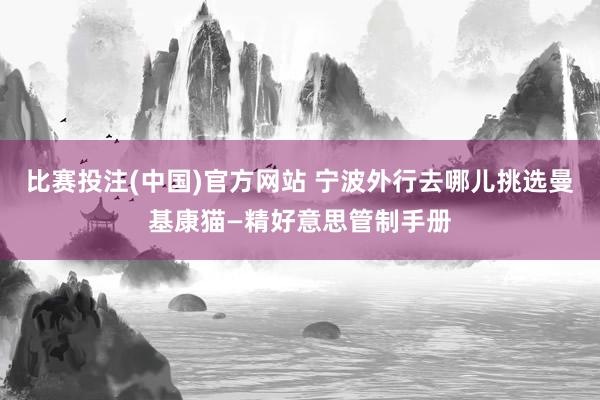 比赛投注(中国)官方网站 宁波外行去哪儿挑选曼基康猫—精好意思管制手册
