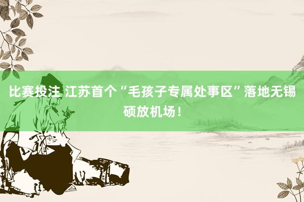 比赛投注 江苏首个“毛孩子专属处事区”落地无锡硕放机场！