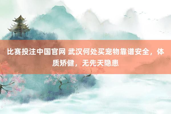 比赛投注中国官网 武汉何处买宠物靠谱安全，体质矫健，无先天隐患