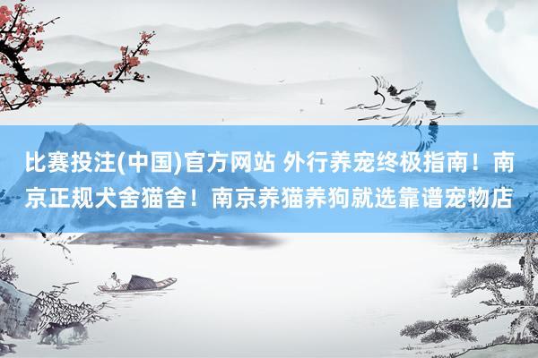 比赛投注(中国)官方网站 外行养宠终极指南！南京正规犬舍猫舍！南京养猫养狗就选靠谱宠物店